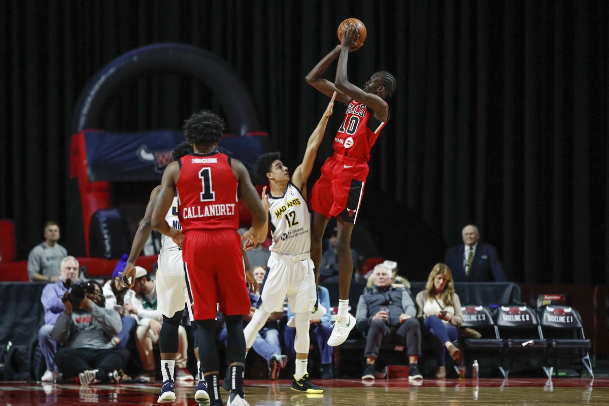 Windy City Bulls v Fort Wayne Mad Ants