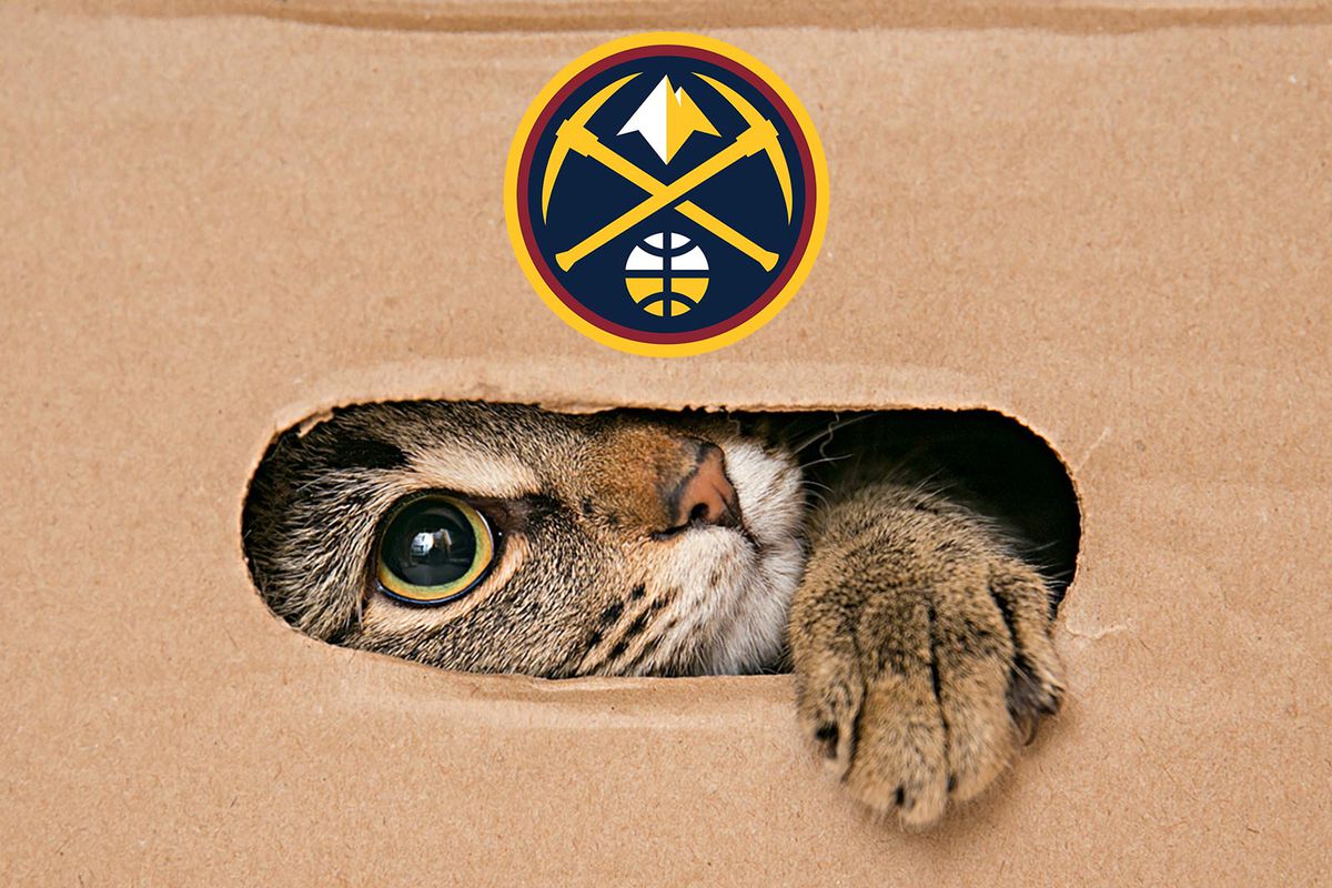 The Denver Nuggets first ten games were the cat’s meow, but their last four games have been something closer to cat-astrophic.